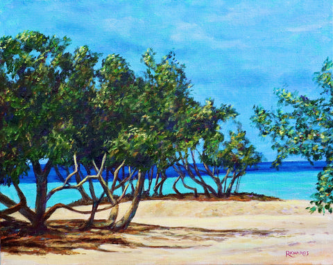 Aruba Divi Trees on Eagle Beach