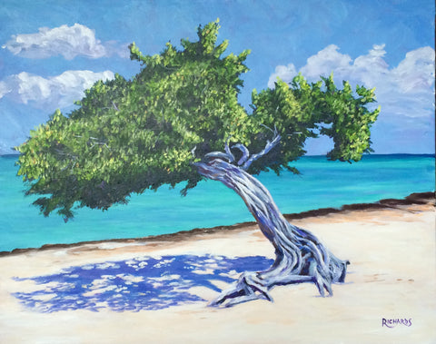 Divi Tree on Eagle Beach SOLD